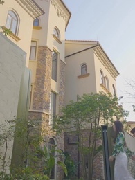 第53集 - 夜少的替嫁新娘