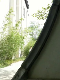 Episodio 54 - Il Cultore