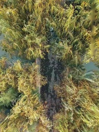 Admitir a Derrota - Episode 15