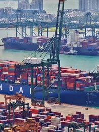 第44集 - 她撩撥心弦