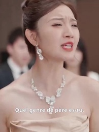 Épisode 27 - [Doublé]Réunion Destinée