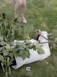 第75集 - 師父求我下山禍害九個絕色師姐