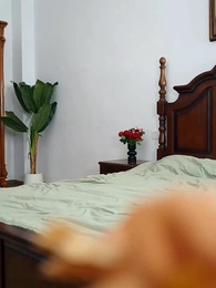 Episódio 26 - Encruzilhada do Amor: Sem Volta