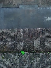 Amor que Sangra, Sangre que Hiere - Episode 11