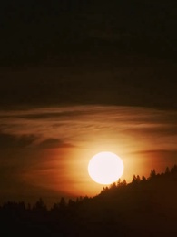 Episode 31 - Rache der Alpha