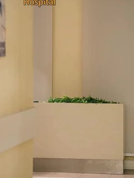 Episodio 53 - Ascenso de la princesa traicionada