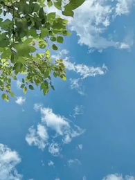 Episodio 89 - Esta Noche se Hundió