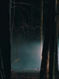 Episode 39 - Rache der Alpha