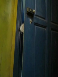 ตอนที่ 22 - คุณแม่สุดเท่