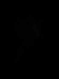 Rache der Alpha - Episode 1