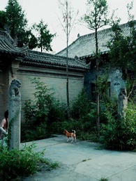 第2集 - 穿越時空終成悔