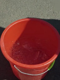 Episode 18 - Family above All