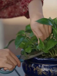 คุณเย่จอมเผด็จการ - Episode 31