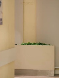 L'Éveil de la Princesse Trahie - Episode 53