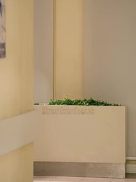 Aufstieg der verratenen Prinzessin - Episode 53