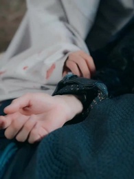 第46話 - 愛憎の螺旋