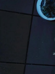 第27集 - 開局離婚，她竟是豪門繼承人