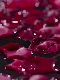 第54集 - 顧少的實習小嬌妻