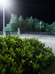 第19集 - 總裁的貼身高手