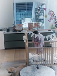 離婚後，前夫撿到了我的孕檢單 - Episode 93