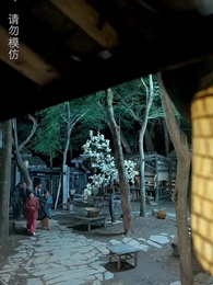 第29集 - 災荒年代,我靠系統養出兩個狀元郎