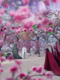 第13集 - 南山可採莓