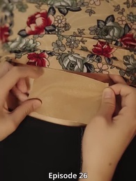 Episode 26 - Der große Wunsch