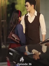 Episode 36 - Der große Wunsch