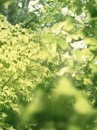 第49集 - 災荒年代,我靠系統養出兩個狀元郎