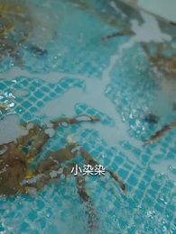 四爺，你家嬌妻馬甲又掉了 - Episode 43
