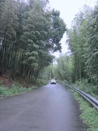 第70集 - 總裁的貼身高手