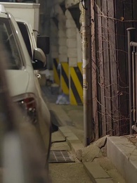 31화 - 아이돌 남침