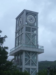 第80集 - 總裁的貼身高手