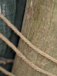 第21集 - 災荒年代,我靠系統養出兩個狀元郎