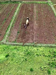 Episodio 1 - MIO PADRE È IL VENERABILE