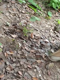 第6集 - 災荒年代，我靠系統養出兩個狀元郎