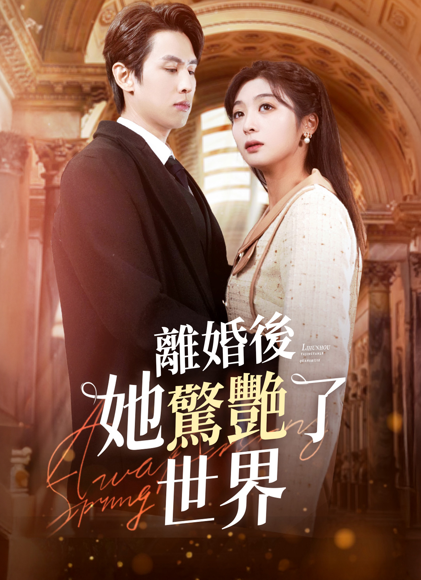 《離婚後她驚艷了世界》封面