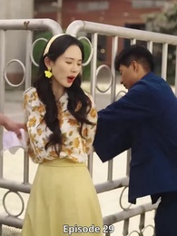 Episode 29 - Der große Wunsch