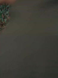 第49集 - 巧識少年情深種