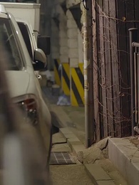 Episode 31 - K-Idol invasion