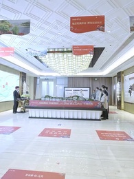 第29集 - 開局離婚，她竟是豪門繼承人