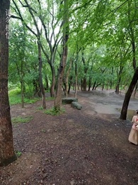 災荒年代，我靠系統養出兩個狀元郎 - Episode 4