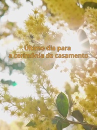 Episódio 14 - De Joelhos Sob o Luar