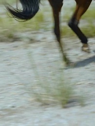 撿個皇帝當影後 - Episode 1