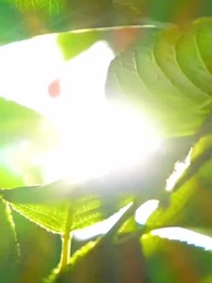 第63集 - 彼岸有妳