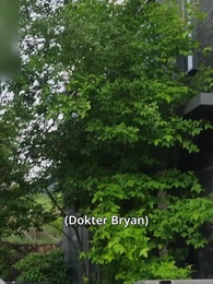 Pengorbanan Nyawa Demi Cinta - Episode 27