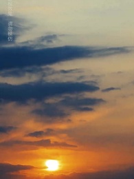 第84集 - 離婚後她成了總裁