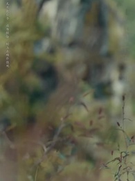 守墓筆記:棺山重啟 - Episode 5