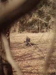 39화 - 폭군의 약혼녀가 되겠습니다