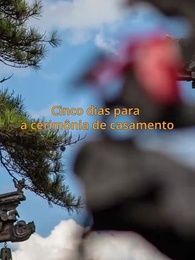 Episódio 6 - De joelhos sob o luar